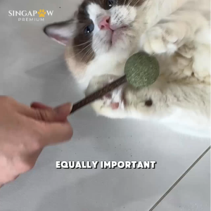 CatWant Catnip Lollipop Silvervine Stick Natural Cleans Teeth Feline Cat Chew Toy