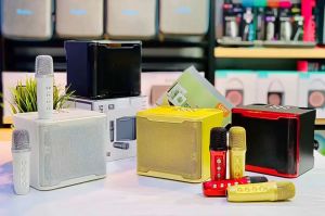 Bluetooth Speaker Wireless Bluetooth Dual Microphone Karaoke Speaker 3D Stereo Amplifier ys230