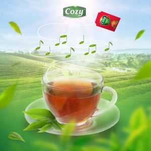 Trà Túi Lọc COZY 50g (25 gói x 2g) Trà Xanh Đóng Gói Tiện Lợi Trà Lọc Cozy Đa Hương Vị - Lazada