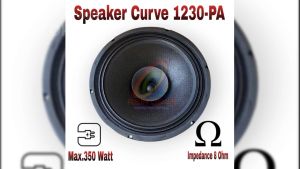 Speaker Curve 12 Inch Full Range C 1230 PA