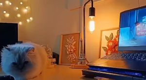 Study Table Lamp  Dimmable Bedside Lamp Desk Lamp Industrial Wooden Lamp Night Stand Lighting bedroom table lamp