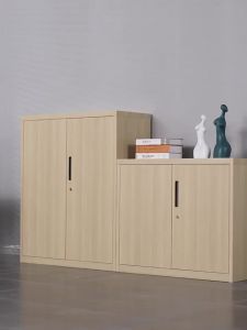 Secure Storage Cabinet Locking