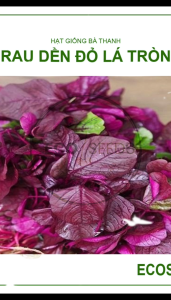[EcoSeeds] Combo Tiết Kiệm 5 Gói Hạt Giống Rau Dền Đỏ Lá Tròn - Trồng Quanh Năm - Gói 20g