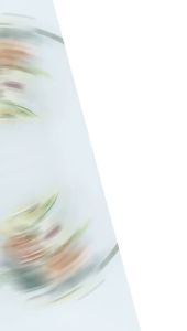 30 LEMBAR Plastik Single Wrapping Motif Bear Flower Wrapping Plastic Single Flowers Cellophane SF07