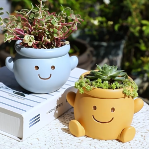 Cute Smiling Face Creative Expression Plant Pot