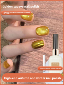 CHUBEISHI | Gold Cat Eye Gel Polish Glass Beads Nail Kit