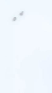 HF829 เฟธเธอะ วอลุ่มไมซ์ซิ่ง มาสคาร่า ซีเวนน่า คัลเลอร์ส Sivanna Colors Feather Volumising Mascara