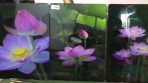 tranh treo tườngtranh tráng gươngtrang trí phòng khách hoa lá nhẹ nhàng sang trọng