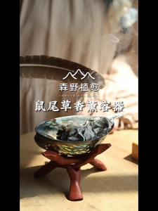 鼠尾草叶 鼠尾草 Bijak White Sage Leaves Dried Sage Leves Sage Power  鼠尾草净化 驱除负能量 净化空间 Daun Sage Aura Cleansing