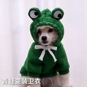 SP94 เสื้อหมา เสื้อแมว เสื้อกันหนาวมีฮู๊ด ชุดสัตว์เลี้ยงน่ารัก เสื้อแมวน่ารัก เสื้อสุนัขน่ารัก เสื้อฮู๊ดลายผลไม้