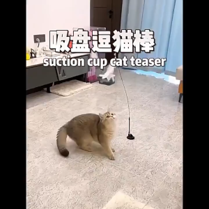 Suction Cup Feather Cat Teaser Wand with Bell Interactive Kitten Toy Durable Portable Funny Cat Entertainment Stick Multistyle Design Relieve Pet Boredom Easy Use Indoor Daily Training Playing Accessories for Cats Kittens