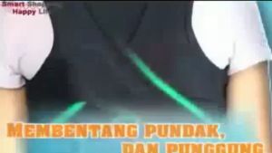 PENYANGGA PUNGGUNG BABAKA / KORSET PENEGAK BADAN / BACK SUPPORT BODY IMPORT