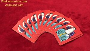 Kim Bài Thái Tuế 2023 Người Tuổi Tý Ngọ Mão  Dậu Thìn - Bằng Nhựa - SP006052    