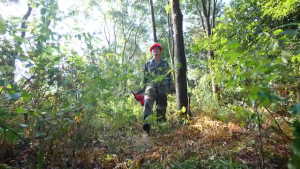 ECOSEN 12 Inch Portable GenggamLithium Chain Saw tanpa kabel dayatinggi gergaji kayu Gergaji