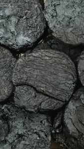 熟地 100g Shu Di 熟地黄 熟地片 Rehmannia Root Suk Dei Dried Beet Root Kering