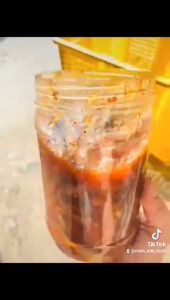 Mắm Cá Trèn Ăn Sống Kèm Cơm Nóng Hay Nấu Bún Mắm Nấu Lẩu- ĐẶC SẢN MINH TRIẾT