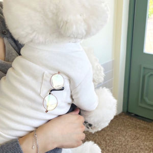 Autumn Pet Bottoming Shirt: Stylish Outfits for Small Size Dogs & Cats