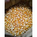 100g ngô Mỹ rang bơ nổ bỏng siêu ngon nổ 100%. 