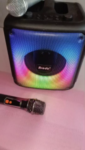 Brodu BTS-2483 6.5inch Portable Bluetooth Speaker