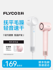 High-Speed Flyco Hair Dryer Negative Ion Fast-Drying Hair Protection Intelligent Constant Temperature No Damage Blow Dryer