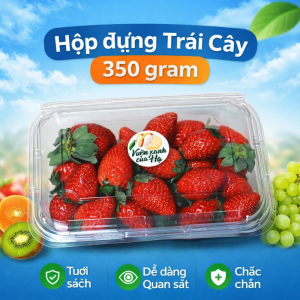 Combo 50–100 Hộp Nhựa P350A Đựng Trái Cây 350g – Hộp Nhựa Trong Suốt Đựng Dâu Cherry Vải Nhãn