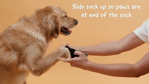 Breathable Anti-Slip Dog Socks Pet Paw Protector with Silicone Grip Sewn-On Reflective Straps 4 PCS