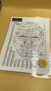 Tờ huyệt A4 in màu Diện Chẩn Diện Chẩn tặng 54 phác đồ thường dùng