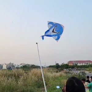 Diều Trẻ Em Cá Heo Kiko Long Vân