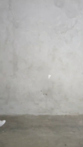 Sakura Glory - KAOS POLOS ANAK COTTON COMBED 30S PREMIUM UKURAN S-XXL / ATASAN / BAJU / BLOUSE / T-SHIRT / TUMBLR TEE / PRIA / WANITA / BALITA / DISTRO / IMPORT / OVERSIZE / COD / DISKON / GRATIS ONGKIR / MURAH