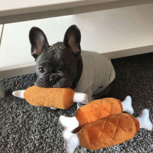 Xương Thịt Nhồi Bông Phát Ra Tiếng Kêu Đồ Chơi Cho Thú Cưng Chó Mèo Vờn Bắt - iPet Shop