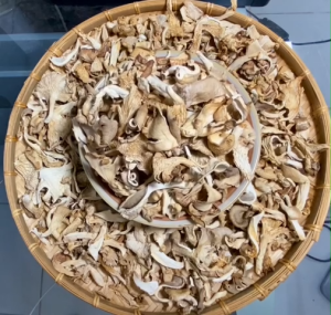 Nấm Xám Khô Bào Ngư Sạch Ngon Dai Giomnf 200gr (giao hỏa tốc hcm)