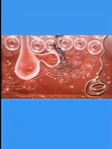 Wormwood Soap Mite Acne Soap Anti Itching Anti Fungus Whitening Psoriasis Sulfur Antibacterial Soap 80g