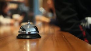 Call Bells Chrome Finish All-Metal Construction Desk Bell Service Bell for Hotels Schools Restaurants Reception Areas Hospitals Warehouses (Silver)