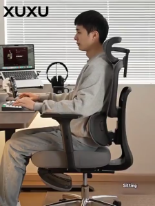 XUXU Ergonomic Office Chair All-round Lumbar Support 3D Adjustable Breathable Professional Gaming Chair
