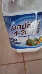 (แกลลอน 5 ลิตร) ปุ๋ยน้ำ 4-20-20 ออปตอล สูตรเข้มข้น ปุ๋ยน้ำทางใบ ช่วยการออกดอก เพิ่มปริมาณดอก ขยายลูก