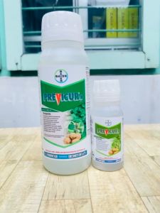 Fungisida Bayer PREVICUR N 722SL - Fungisida Sistemik Larutan Air 100ml/500ml untuk Tanaman Bawang Merah, Cabai, Kentang, Kubis, Melon, Pinus, Tembakau dan Tomat (Bening & Cukup Berbahaya)