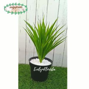 Tanaman Hias Daun Kucai X1 Latex Artificial Pot Dasar Hitam Tanaman Imitasi Dekorasi Ruang Tamu