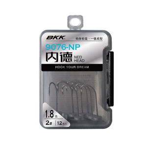 Sharp Ned Rig Jig Lead Head Hook