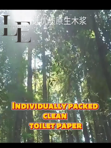 3PLY JUMBO TOILET ROLL TISSUE PAPER | TOILET PAPER ROLL | BATHROOM TISSUE | INDIVIDUAL PACKAGING (MP24)