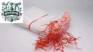 ถุงห่อผลไม้ ถุงตาข่ายไนล่อน ใช้ซ้ําได้ ป้องกันยุง แมลง นก พร้อมเชือกรัด สําหรับป้องกันพืช ผลไม้ ดอกไม้ 50ชิ้น