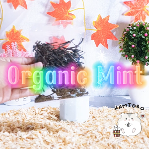 Organic Mint Leaves/Daun Mint Snack Forage Hamster Pewangi Kandang