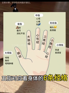 Finger massager with Bianstone rollers massages and clamps for hand joints and meridians helps to thin and lengthen fingers and is a magical tool for scraping fingers.