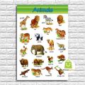 Educational Animals Chart - Laminated A4 Size, Educational Wall Chart. 