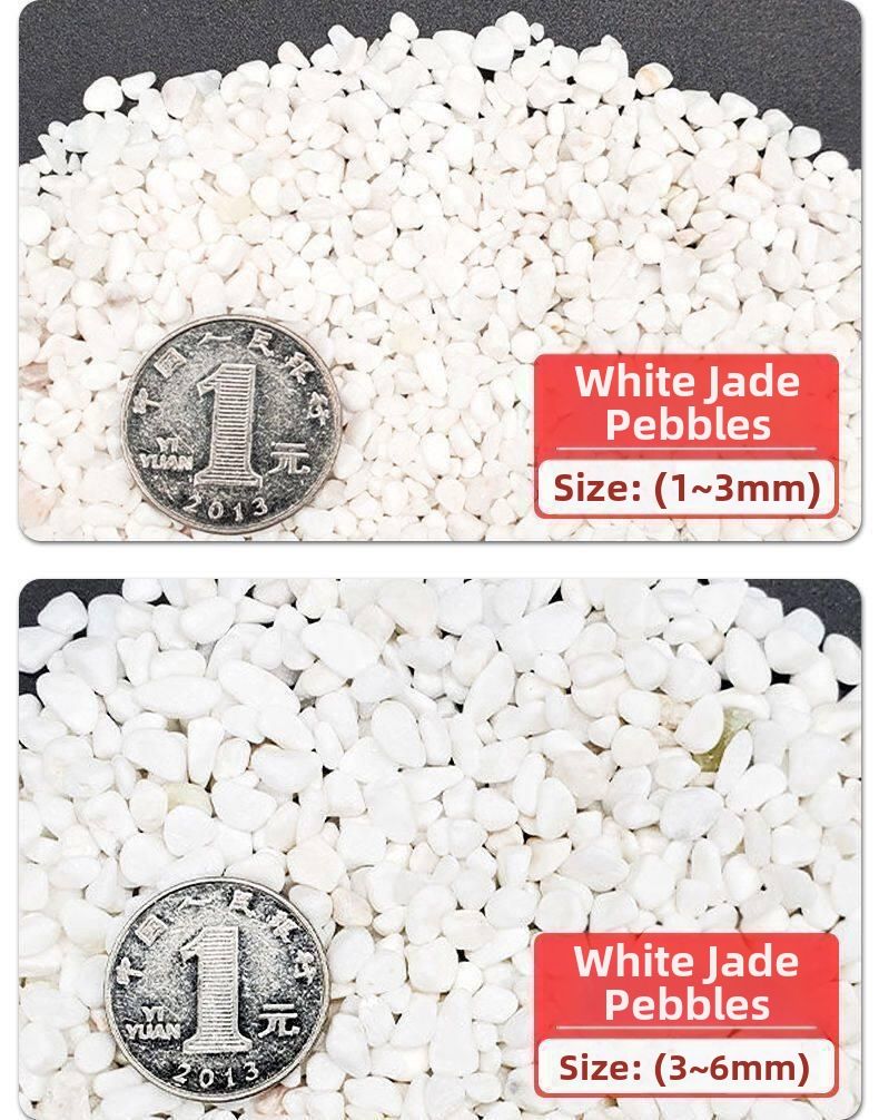 Natural Colored Pebbles 10lbs | Lazada Philippines