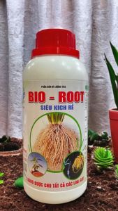 BIO - ROOT : SIÊU KÍCH RỄ.
