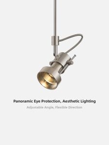 NSWR | Adjustable Angle Long Pole Ambient Pendant Light