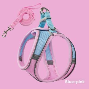 VOA | Escaping Prevent Cat Harness Leash for Outdoors