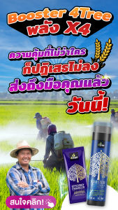 ปลูกพริก คู่หูโฟทีร์  ชุดละ 1200 บาท  เพราะเราคู่กัน ผลผลิตเยอะ กำไรงามอะมิโนพืช อะมิโนสูตรพืช อะมิโนสำหรับพืช สูตรอิออน สารบำรุงดิน สารเพิ่มประสิทธิภาพ โฟทีร ของแท้ เก็บปลายทาง