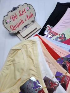 Combo 10 quần lót nữ cotton thái (9966) Size 40-55kg Co Giản 4 Chiều Thoáng Mát Hàng Loại 1 - Đồ Lót Quỳnh Anh