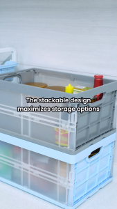 TOYOGO Collapsible Storage Container (Small) - 066